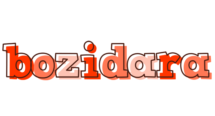 Bozidara paint logo