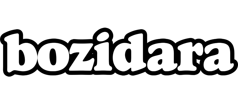 Bozidara panda logo