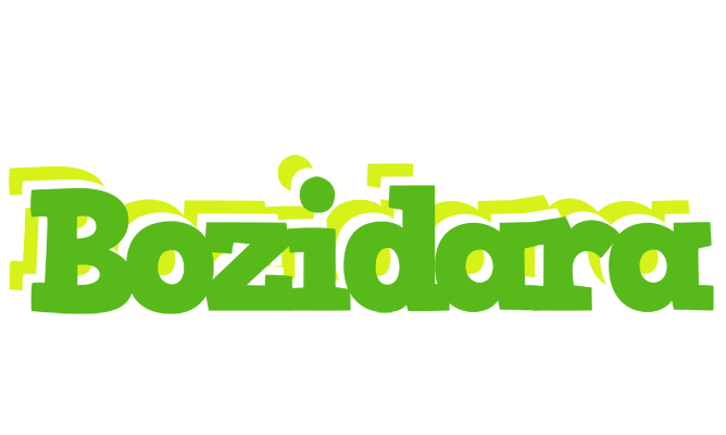 Bozidara picnic logo