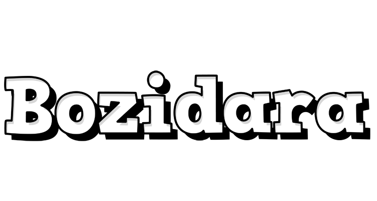 Bozidara snowing logo