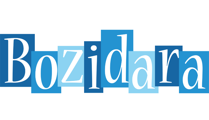 Bozidara winter logo