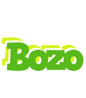 Bozo picnic logo
