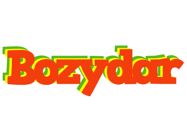 Bozydar bbq logo