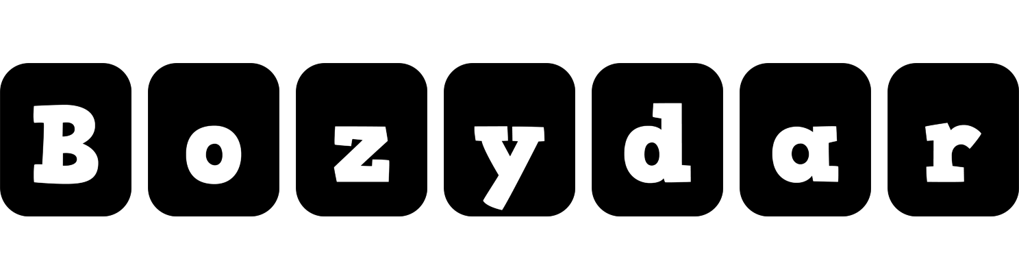 Bozydar box logo