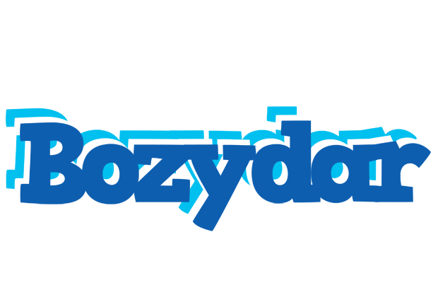 Bozydar business logo