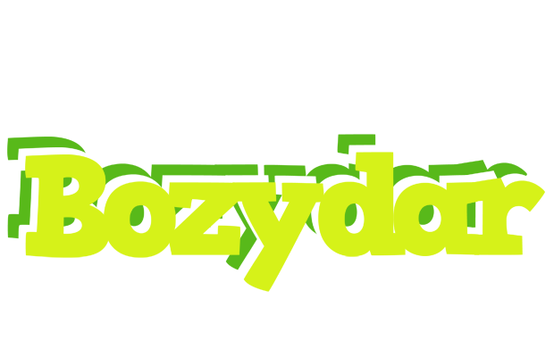 Bozydar citrus logo