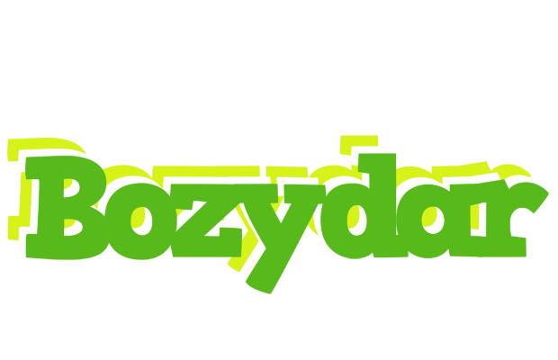 Bozydar picnic logo