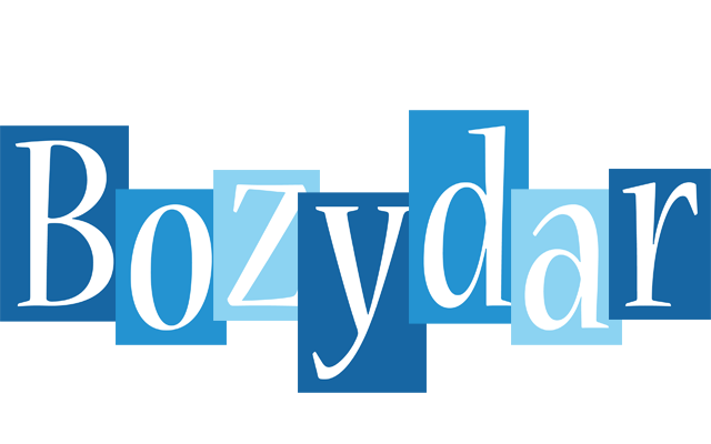 Bozydar winter logo