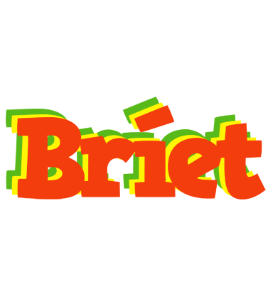 Bríet bbq logo