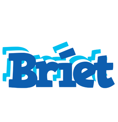 Bríet business logo