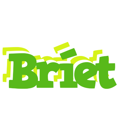 Bríet picnic logo