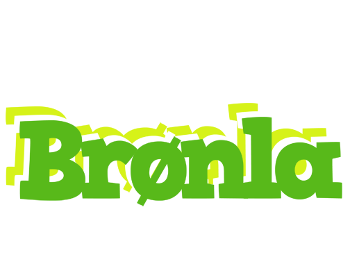 Brønla picnic logo
