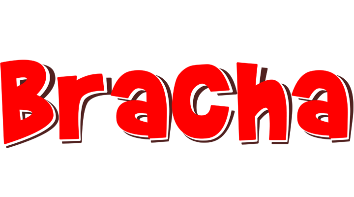 Bracha basket logo