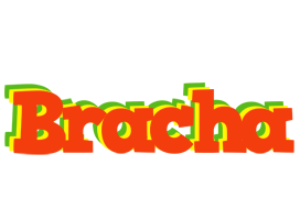 Bracha bbq logo