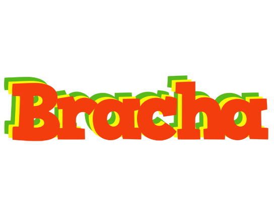 Bracha bbq logo