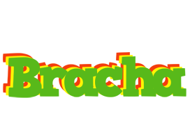 Bracha crocodile logo