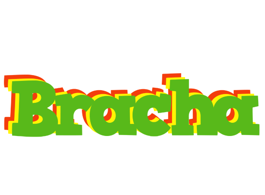 Bracha crocodile logo