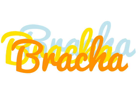 Bracha energy logo