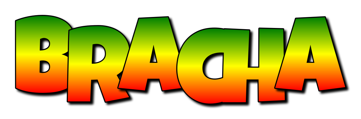 Bracha mango logo