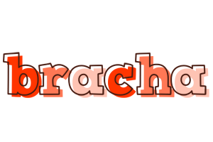 Bracha paint logo