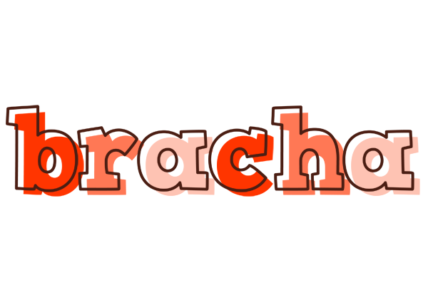 Bracha paint logo