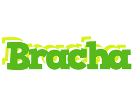 Bracha picnic logo