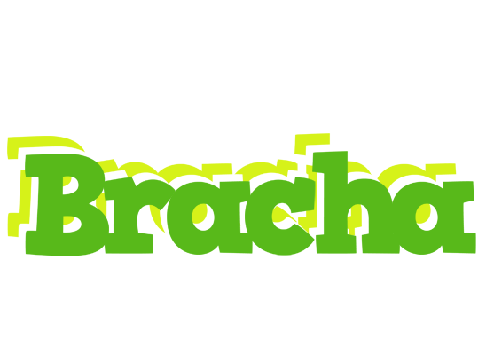 Bracha picnic logo