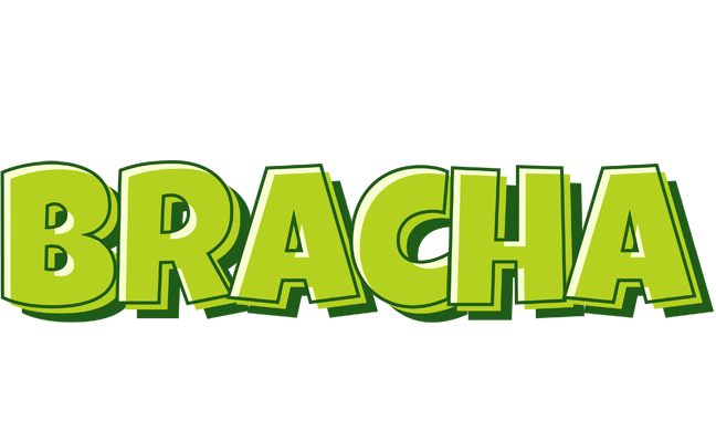 Bracha summer logo
