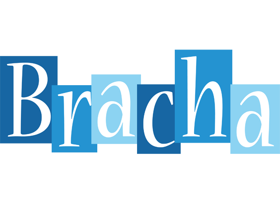 Bracha winter logo