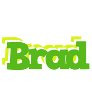 Brad picnic logo