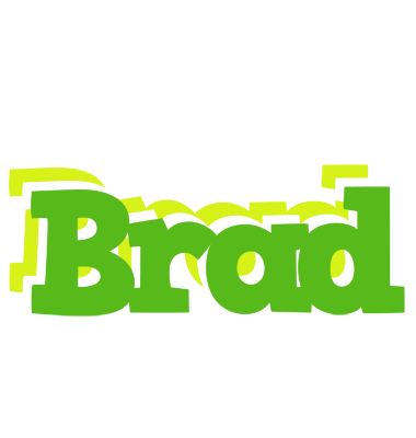Brad picnic logo