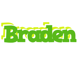 Braden picnic logo