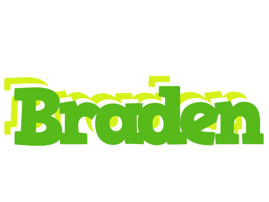 Braden picnic logo