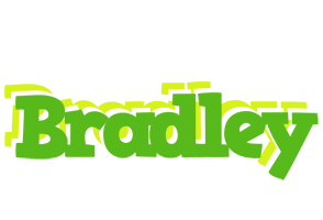 Bradley picnic logo