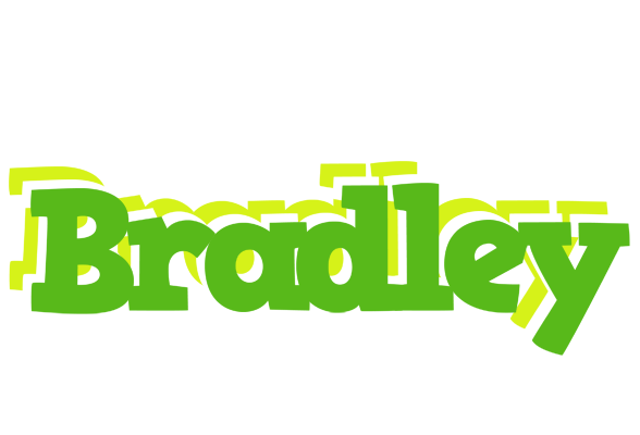 Bradley picnic logo