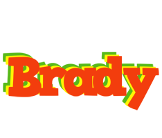 Brady bbq logo