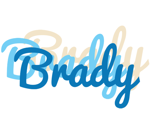 Brady breeze logo