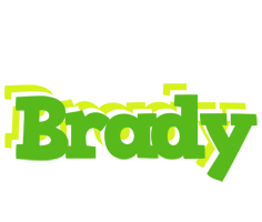 Brady picnic logo