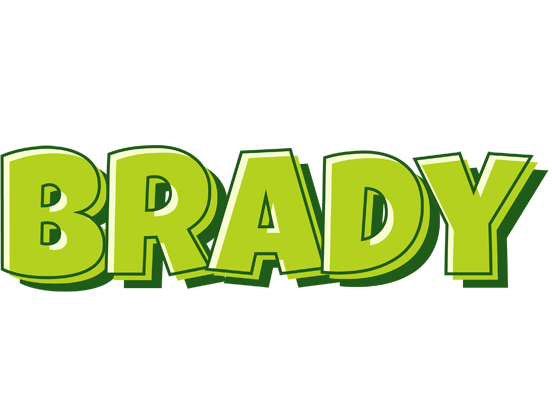 Brady summer logo