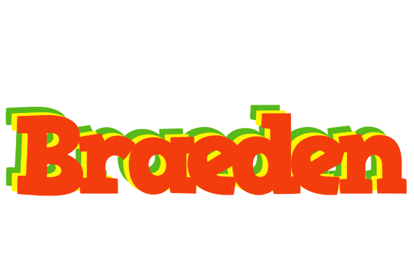 Braeden bbq logo