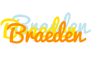 Braeden energy logo