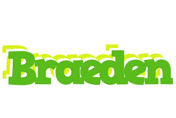 Braeden picnic logo