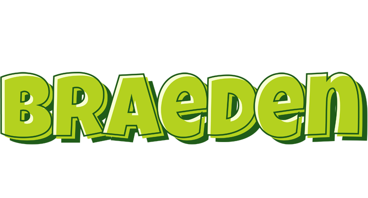 Braeden summer logo