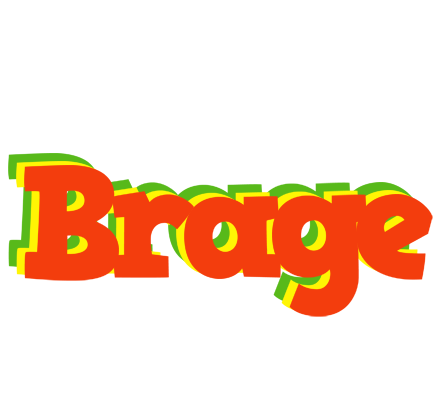 Brage bbq logo