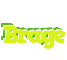 Brage citrus logo