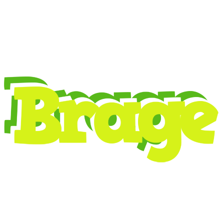 Brage citrus logo