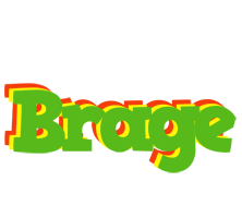 Brage crocodile logo