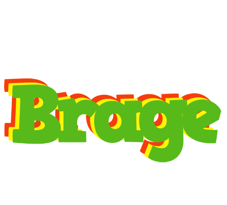 Brage crocodile logo