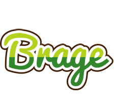 Brage golfing logo