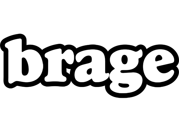 Brage panda logo